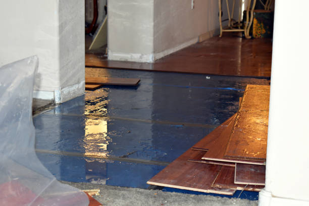 Professional Basement Flood Cleanup technician working in Lansdowne, PA
